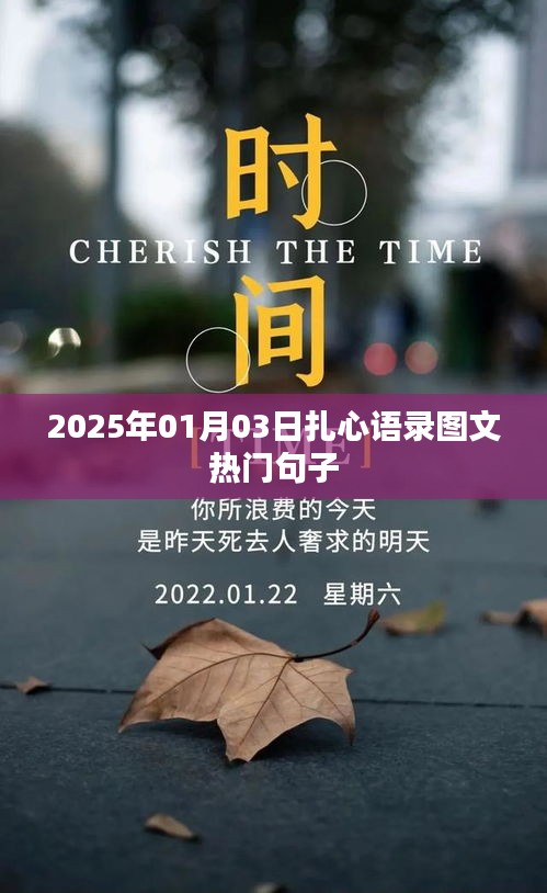 『2025年扎心语录，图文热门句子大放送』