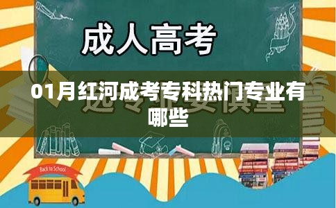 红河成考专科热门专业榜单揭晓