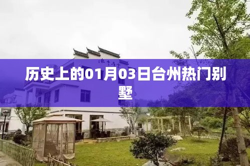 台州热门别墅的历史时刻，一月三日回顾