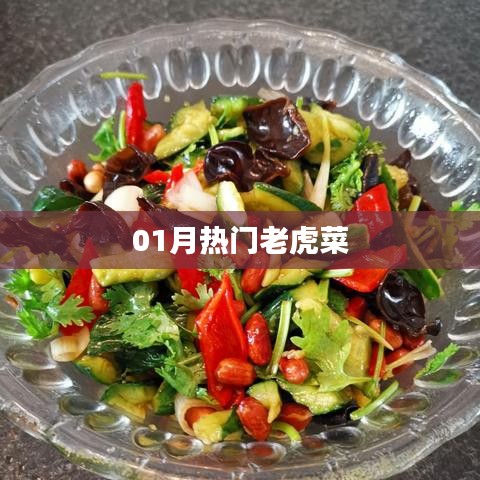 最新老虎菜热门排行榜单（一月版）