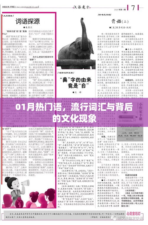 热门流行词汇背后的文化现象解析