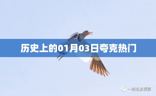 历史上的夸克热门事件，揭秘一月三日的重要瞬间