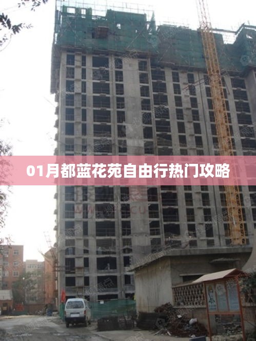 一月都蓝花苑自由行，热门攻略大揭秘