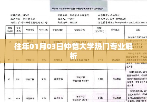 仲恺大学热门专业解析，01月03日篇