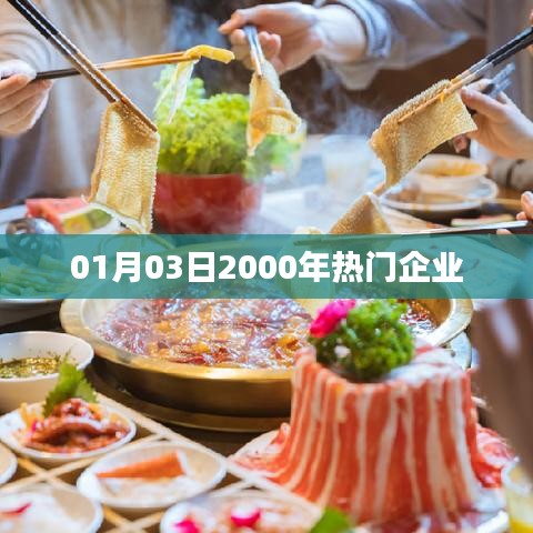 2000年热门企业风采展现，01月03日纪实