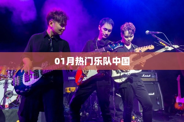 中国热门乐队榜单揭晓