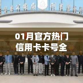 01月官方热门信用卡卡号深度解析