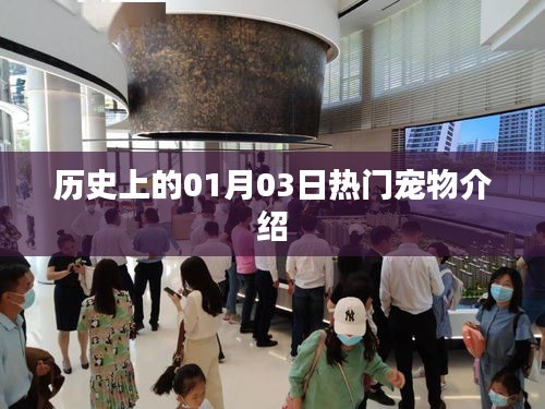 热门宠物介绍，历史上的一月三日回顾