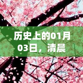 1月3日清晨音乐璀璨篇章，历史上的重要时刻