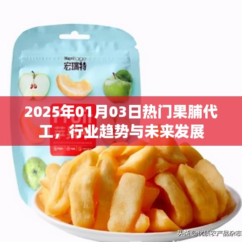 2025年果脯代工趋势及未来发展展望