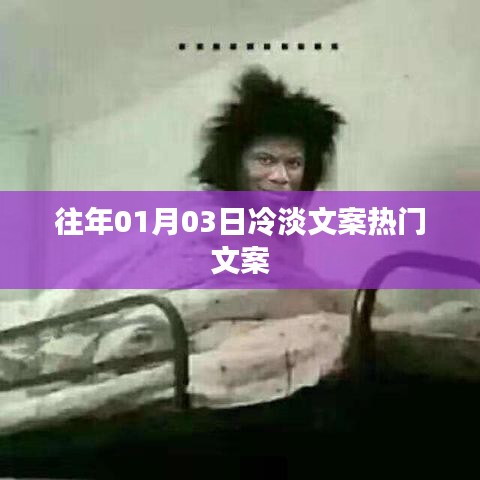 精选冷淡风格文案热门赏析