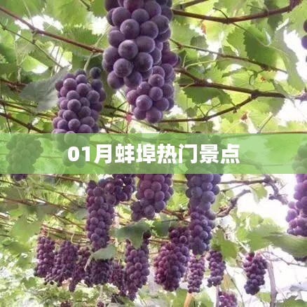 蚌埠热门景点游玩攻略