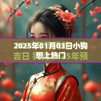 小狗梦想成焦点，揭秘热门之路，时间锁定2025年1月3日