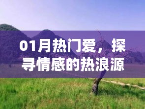 情感热浪源头揭秘，一月热门爱的探寻