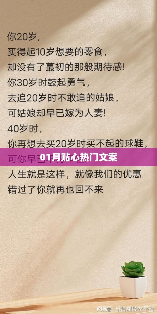 精选热门文案，一月暖心之选