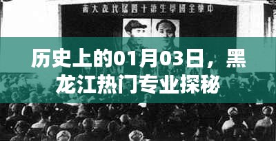 黑龙江热门专业探秘，历史上的1月3日回顾