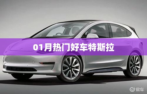 特斯拉热门车型大盘点