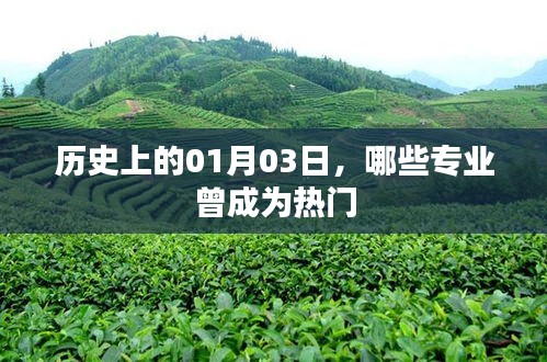 历史上的1月3日，热门专业的变迁