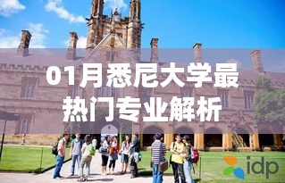 悉尼大学一月热门专业深度解析