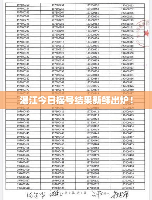 湛江今日摇号结果新鲜出炉！