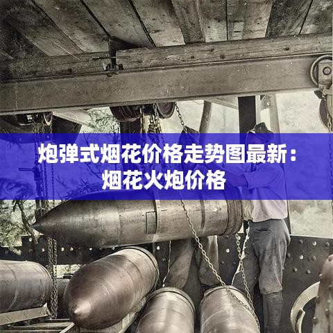 炮弹式烟花价格走势图最新：烟花火炮价格 