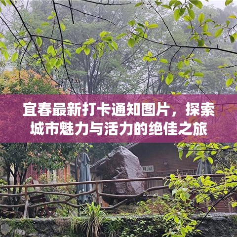宜春最新打卡通知图片，探索城市魅力与活力的绝佳之旅