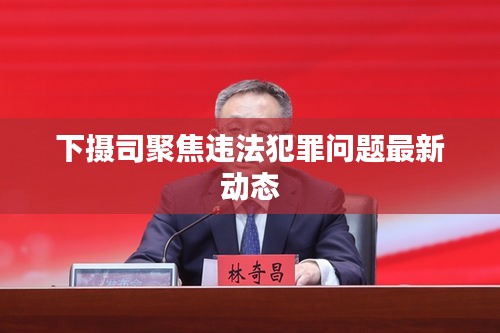 下摄司聚焦违法犯罪问题最新动态