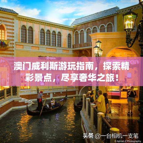 澳门威利斯游玩指南，探索精彩景点，尽享奢华之旅！