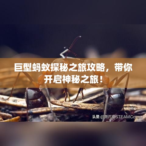 张袂如阴 第3页