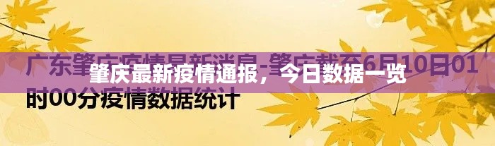肇庆最新疫情通报，今日数据一览