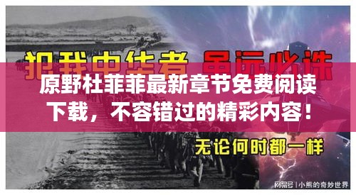 原野杜菲菲最新章节免费阅读下载，不容错过的精彩内容！