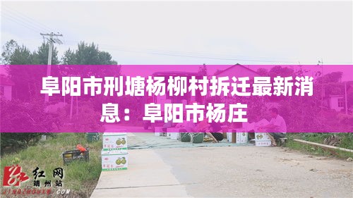 阜阳市刑塘杨柳村拆迁最新消息：阜阳市杨庄 