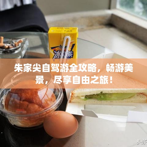 朱家尖自驾游全攻略，畅游美景，尽享自由之旅！