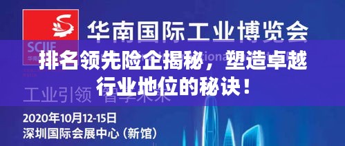 排名领先险企揭秘，塑造卓越行业地位的秘诀！