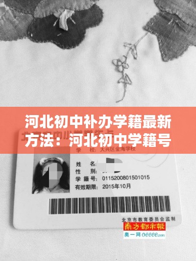 河北初中补办学籍最新方法：河北初中学籍号查询系统 