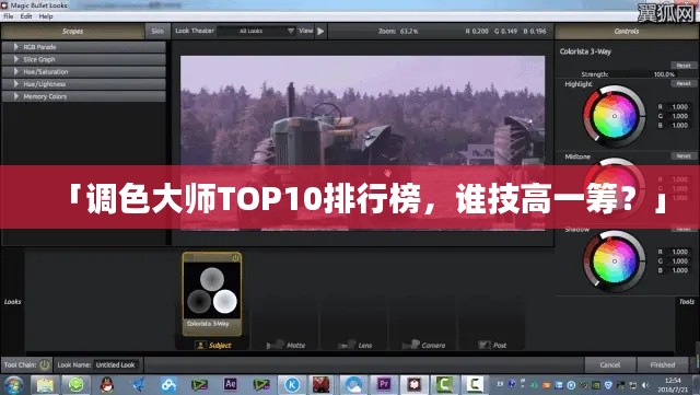 「调色大师TOP10排行榜，谁技高一筹？」