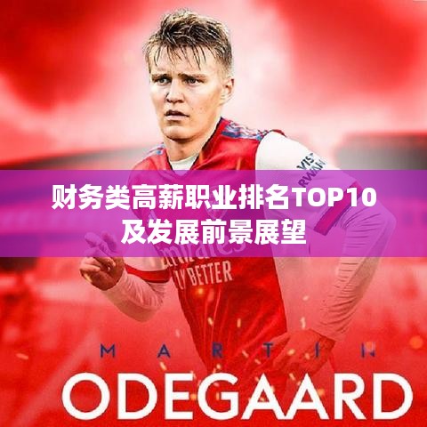财务类高薪职业排名TOP10及发展前景展望