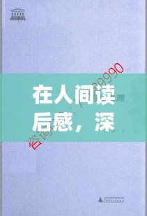 在人间读后感，深度探索人生的启示与智慧