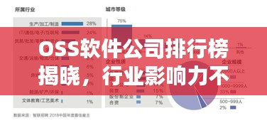 OSS软件公司排行榜揭晓，行业影响力不容小觑！