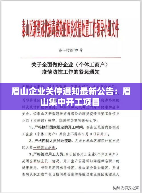 眉山企业关停通知最新公告：眉山集中开工项目 