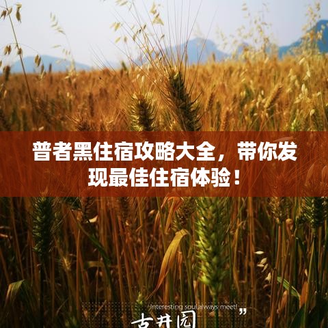 普者黑住宿攻略大全，带你发现最佳住宿体验！