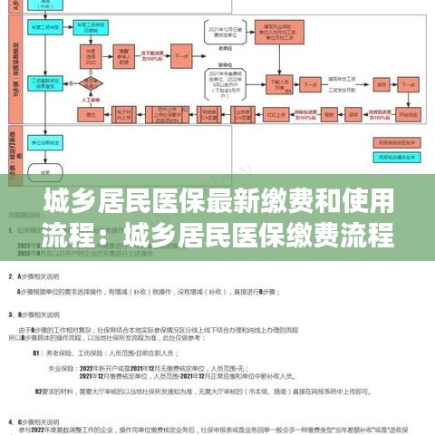 城乡居民医保最新缴费和使用流程：城乡居民医保缴费流程图 