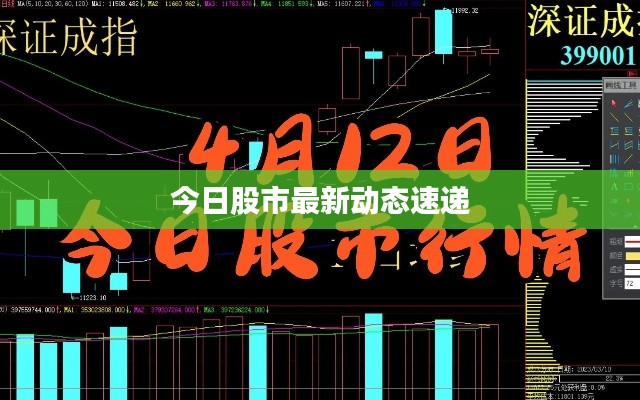 今日股市最新动态速递