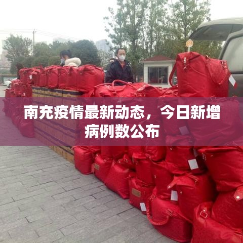 南充疫情最新动态，今日新增病例数公布