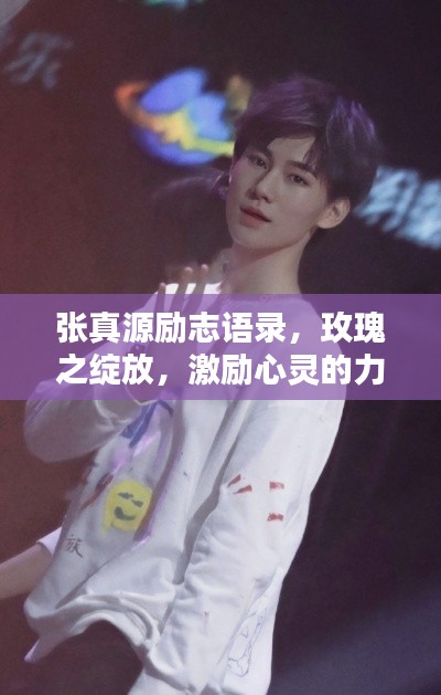 张真源励志语录，玫瑰之绽放，激励心灵的力量