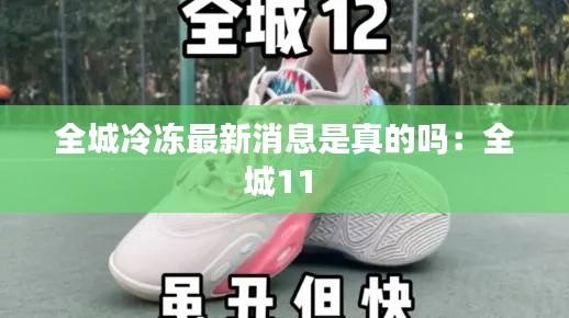 全城冷冻最新消息是真的吗：全城11 
