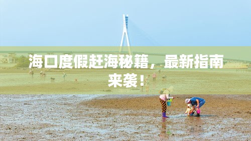 海口度假赶海秘籍，最新指南来袭！