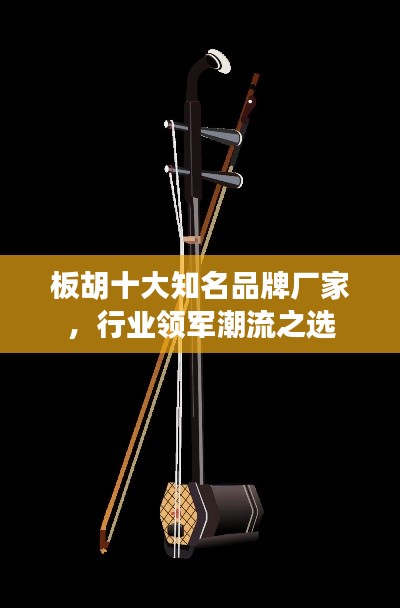 板胡十大知名品牌厂家，行业领军潮流之选