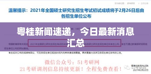 粤桂新闻速递，今日最新消息汇总