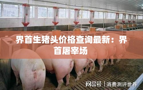 界首生猪头价格查询最新：界首屠宰场 